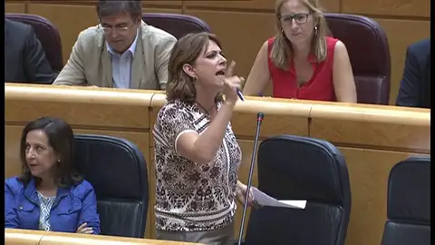 Delgado afronta la sesión en el Senado entre los gritos de "dimisión" de la bancada del PP Delgado afronta la sesión en el Senado entre los gritos de "dimisión" de la bancada del PP