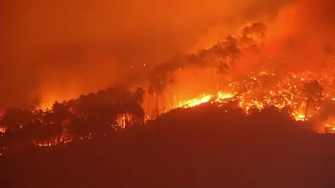 Un incendio en la Toscana obliga a la evacuación en varias zonas Un incendio en la Toscana obliga a la evacuación en varias zonas