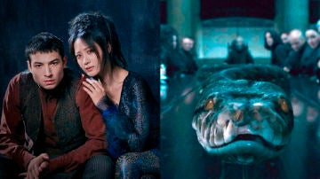 Nagini aparece en 'Animales Fantásticos: Los crímenes de Grindelwald'