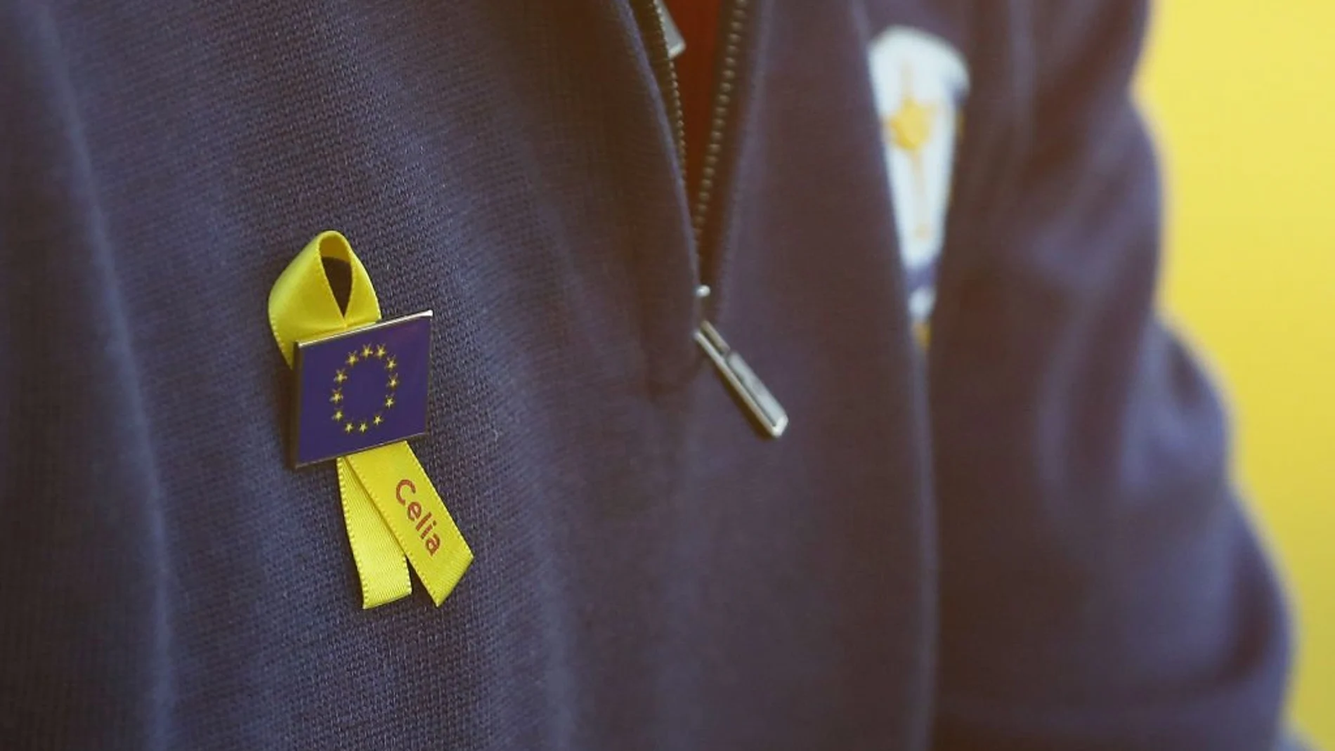 Un lazo en recuerdo a Celia Barquín Un lazo en recuerdo a Celia Barquín