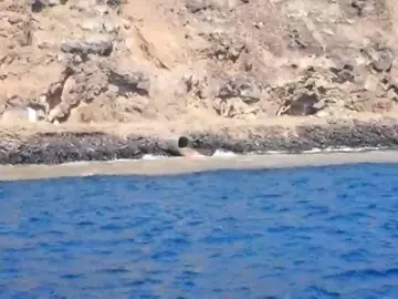 Una gran masa de vertidos residuales acaban directamente en el mar de Santa Cruz de Tenerife Una gran masa de vertidos residuales acaban directamente en el mar de Santa Cruz de Tenerife