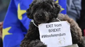 Cientos de perros y sus dueños piden en Londres otro referéndum del "brexit" Cientos de perros y sus dueños piden en Londres otro referéndum del "brexit"