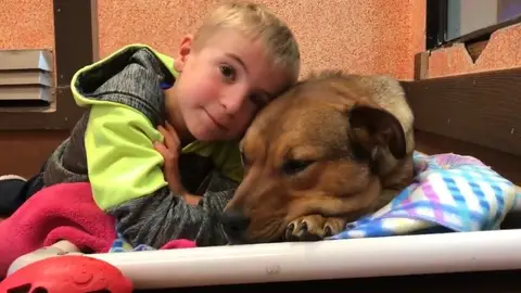 El niño junto a uno de los perros rescatados El niño junto a uno de los perros rescatados