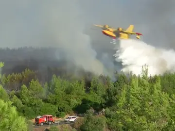 Cientos de evacuados y al menos 18 heridos en un incendio de Sintra (Lisboa) Cientos de evacuados y al menos 18 heridos en un incendio de Sintra (Lisboa)