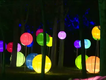 La ciudad china de Panjin celebra el Festival Internacional de las luces La ciudad china de Panjin celebra el Festival Internacional de las luces