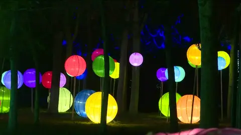 La ciudad china de Panjin celebra el Festival Internacional de las luces La ciudad china de Panjin celebra el Festival Internacional de las luces