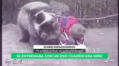 Khabib Nurmagomedov, el campeón ruso que entrenaba con osos cuando era niño Khabib Nurmagomedov, el campeón ruso que entrenaba con osos cuando era niño
