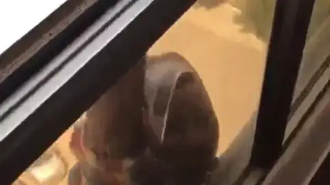 Condenada la mujer kuwaití que grabó a su empleada doméstica mientras caía al vacío desde un séptimo piso Condenada la mujer kuwaití que grabó a su empleada doméstica mientras caía al vacío desde un séptimo piso