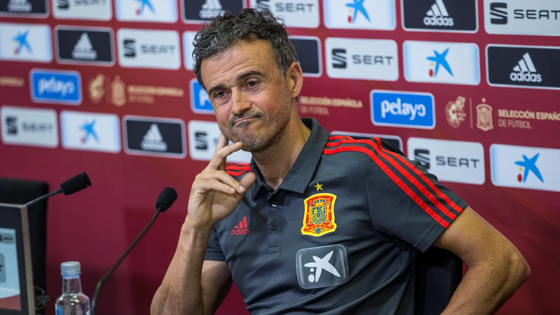 El seleccionador Luis Enrique, en rueda de prensa El seleccionador Luis Enrique, en rueda de prensa