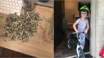 El niño y los billetes triturados El niño y los billetes triturados