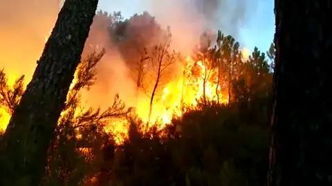 ESTABILIZADO EL INCENDIO EN LAS HURDES ESTABILIZADO EL INCENDIO EN LAS HURDES