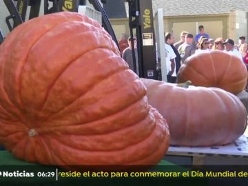Una calabaza de mil kilos gana un popular concurso en California