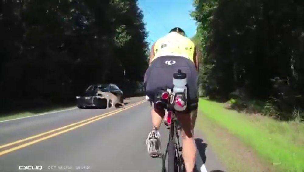 Unos ciclistas graban el momento en el que un coche atropella a un ciervo en Carolina del Norte