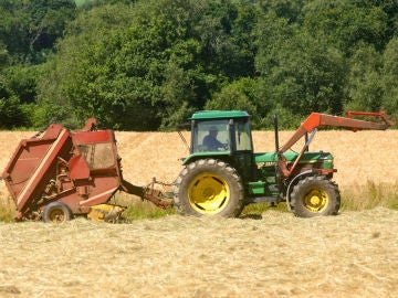 tractor campo