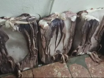 Le venden 115 kilos de pulpo y en realidad eran 100 de hielo Le venden 115 kilos de pulpo y en realidad eran 100 de hielo