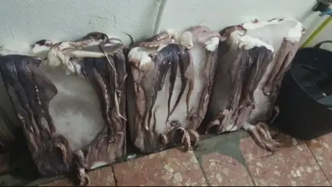 Le venden 115 kilos de pulpo y en realidad eran 100 de hielo Le venden 115 kilos de pulpo y en realidad eran 100 de hielo