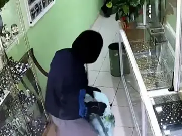 Detenida una banda de atracadores violentos en Tenerife Detenida una banda de atracadores violentos en Tenerife