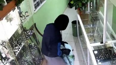 Detenidos los seis miembros de una banda de atracadores violentos en Tenerife