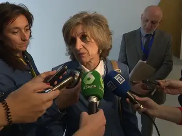 La ministra de Sanidad, tras la confirmación de dos casos de dengue: Con la llegada del invierno desaparecen los mosquitos y no hay riesgo" La ministra de Sanidad, tras la confirmación de dos casos de dengue: Con la llegada del invierno desaparecen los mosquitos y no hay riesgo"