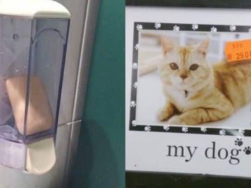 Fallos de diseño Fallos de diseño