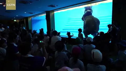 En Tailandia denuncian el uso de elefantes para espectáculos acuáticos En Tailandia denuncian el uso de elefantes para espectáculos acuáticos