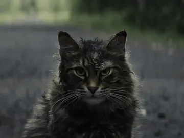 'Cementerio viviente' 'Cementerio viviente'