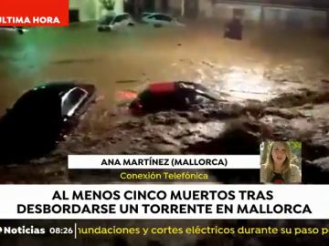REEMPLAZO Cinco muertos en Mallorca REEMPLAZO Cinco muertos en Mallorca