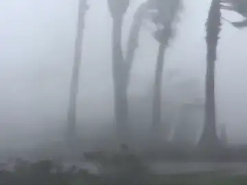 'Michael' toca tierra en Florida como un huracán de categoría cuatro y deja al menos un muerto 'Michael' toca tierra en Florida como un huracán de categoría cuatro y deja al menos un muerto