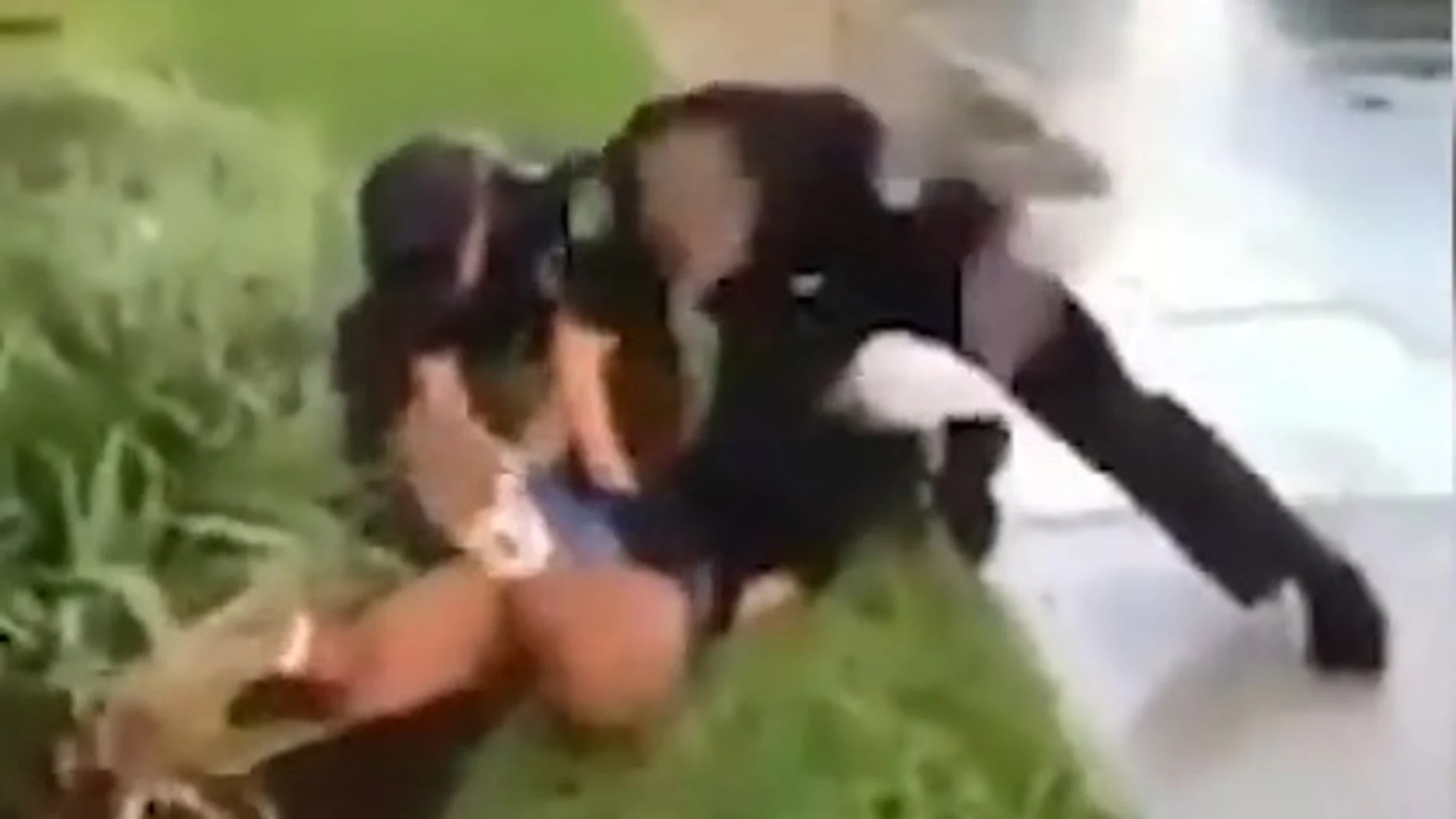Agresión a una adolescente en Florida Agresión a una adolescente en Florida