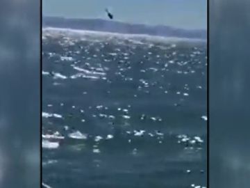 Se cae un helicóptero de la marina mexicana en el Golfo de California