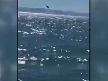 Se cae un helicóptero de la marina mexicana en el Golfo de California Se cae un helicóptero de la marina mexicana en el Golfo de California