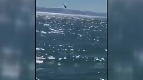 Se cae un helicóptero de la marina mexicana en el Golfo de California Se cae un helicóptero de la marina mexicana en el Golfo de California