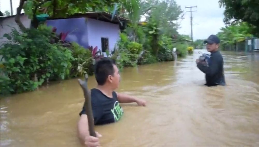 Tormenta tropical Vicente deja 7 muertos y ciudades inundadas en México