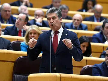 El portavoz del PP en el Senado, Ignacio Cosidó El portavoz del PP en el Senado, Ignacio Cosidó