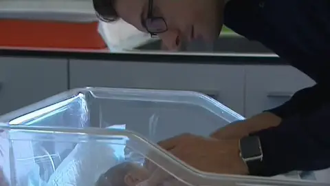 La devolución del IRPF de maternidad y paternidad La devolución del IRPF de maternidad y paternidad