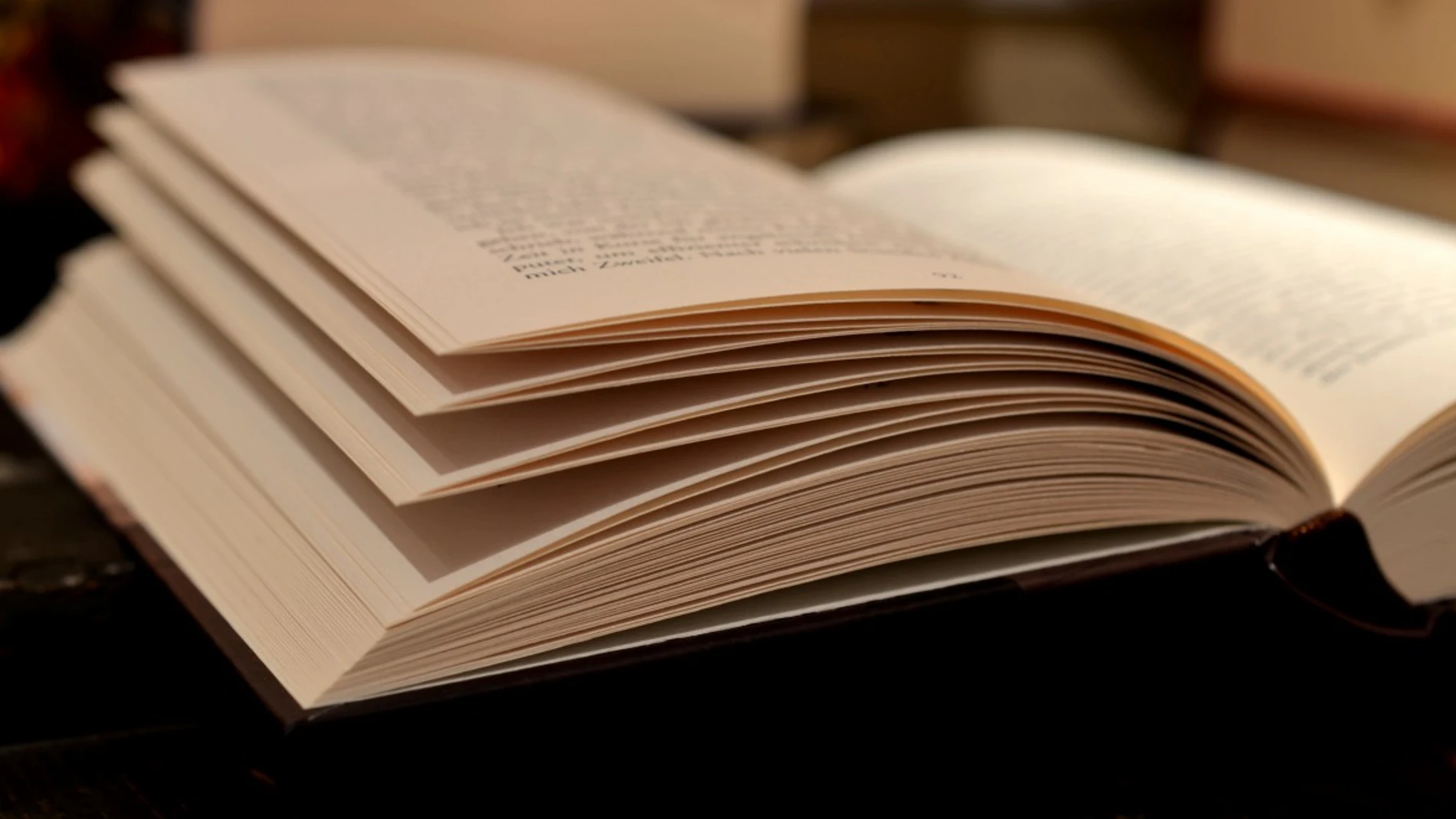 libros libros