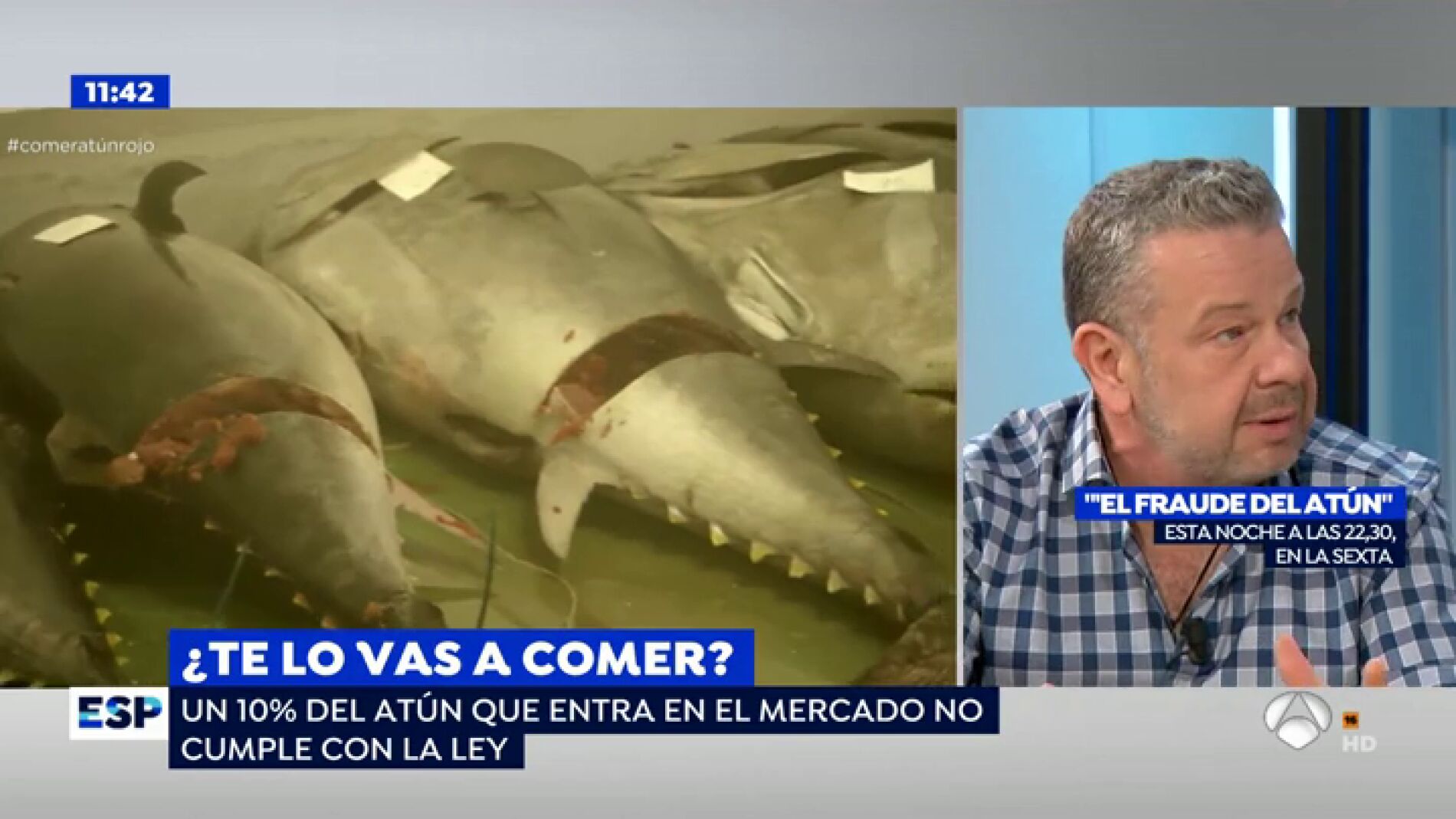  Chicote nos desvelar&aacute; en '&iquest;Te lo vas a comer?' los peligros del fraude del at&uacute;n: "El problema es que una misma empresa vende el at&uacute;n de forma legal e ilegal"
