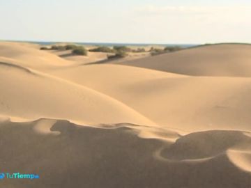 Nuevo proyecto para conservar las Dunas de Gran Canaria 