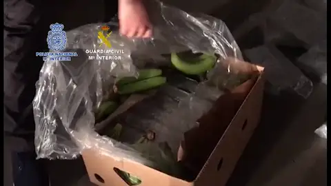 Intervienen más de cinco toneladas de cocaína ocultas en bananas en un polígono de Málaga Intervienen más de cinco toneladas de cocaína ocultas en bananas en un polígono de Málaga