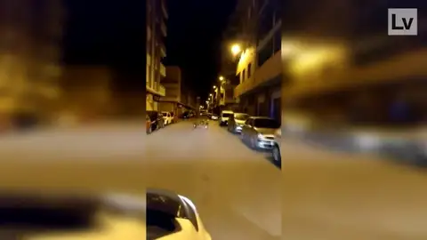 Un grupo de jabalíes pasean por las calles de Sagunto Un grupo de jabalíes pasean por las calles de Sagunto