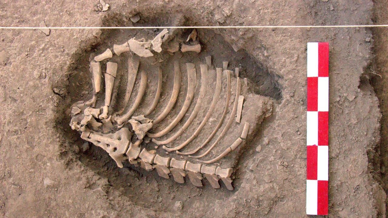 Hallan En Perú Restos óseos De 3000 Años De Antigüedad 4585