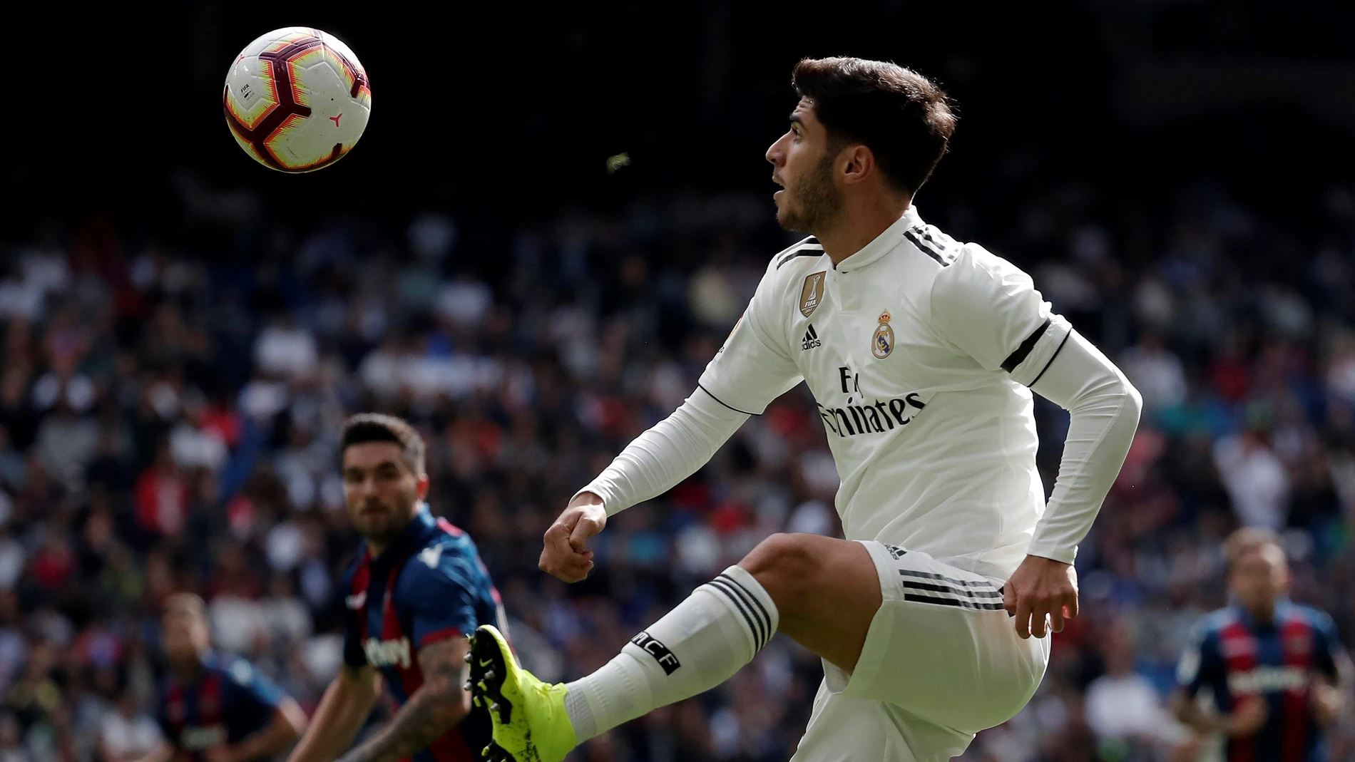 Asensio se prepara para controlar el balón Asensio se prepara para controlar el balón