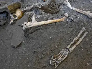 Restos óseos hallados en Pompeya Restos óseos hallados en Pompeya