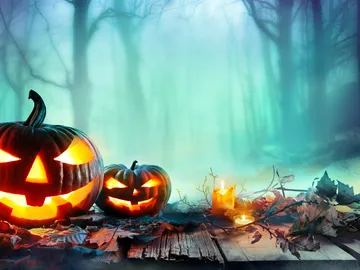 Halloween Halloween