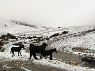 Temporal de nieve en Asturias