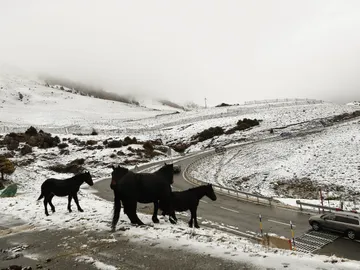 Temporal de nieve en Asturias Temporal de nieve en Asturias