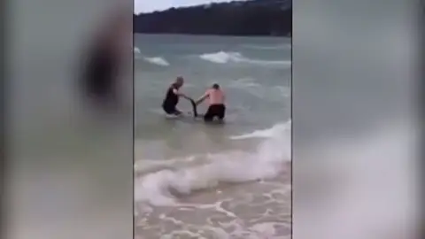 Rescate de un canguro en Australia Rescatan a un canguro que se estaba ahogando en una playa de Australia