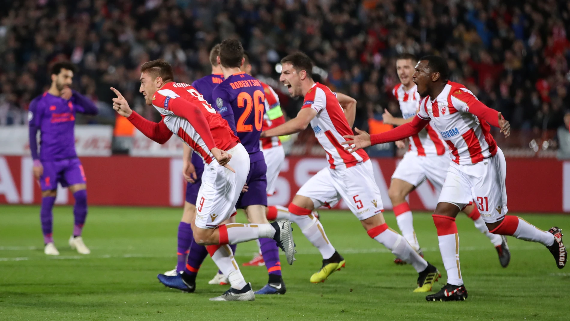 Los jugadores del Estrella Roja celebran uno de los goles contra el Liverpool Los jugadores del Estrella Roja celebran uno de los goles contra el Liverpool