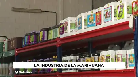 La legalización de la marihuana recreativa en Canadá ha abierto debate acerca de su comercialización La legalización de la marihuana recreativa en Canadá ha abierto debate acerca de su comercialización