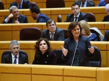 La ministra Carmen Calvo en el Senado